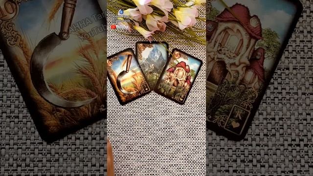 ❗ЧТО В ВАШЕЙ ЖИЗНИ РАЗРЕШИТСЯ СО ДНЯ НА ДЕНЬ...🍀♥️ Гадание Таро смотреть онлайн