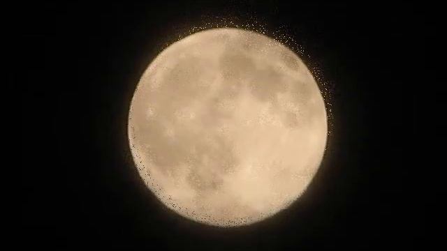 10-3-2009 Full Moon смотреть онлайн