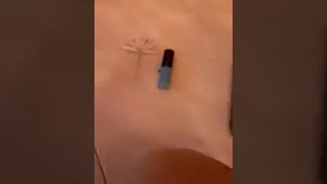 Как да си направим египетско ветрило за клео