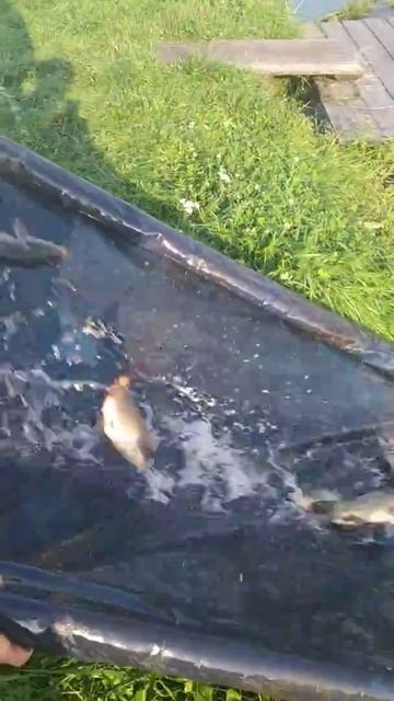 Повстынь.20.08.2019 смотреть онлайн