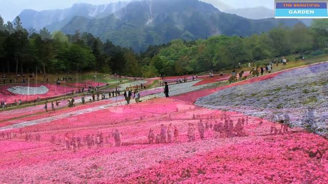 Top 10 Most Beautiful Flower Gardens in Japan - The Beautiful Garden смотреть онлайн
