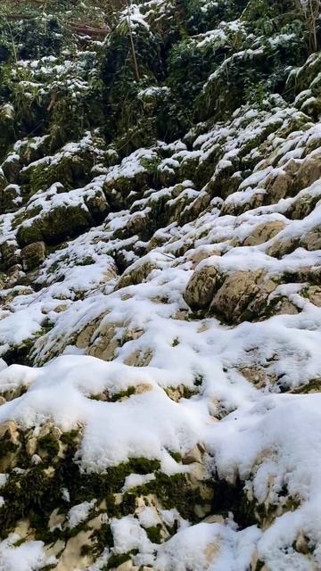 Зимний вайб в каньоне