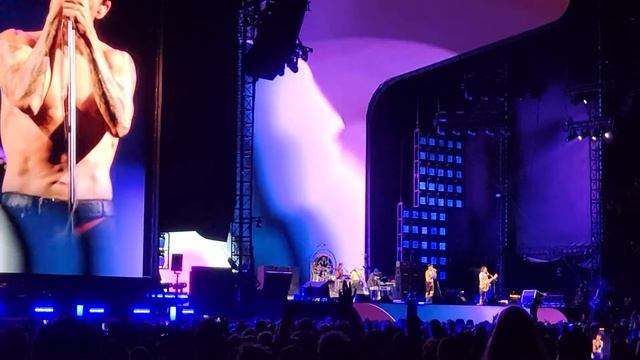 Californication смотреть онлайн