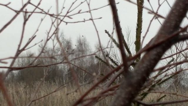 20 калибр, еще один день на охоте!))) смотреть онлайн
