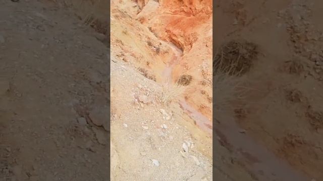 Марс. Русских. Высадка на Марсе#марс#космос #космонавт #mars #cosmos #victory #победа смотреть онлайн