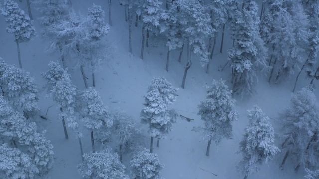 Imperobator Hunting Morrosaurus - [Prehistoric Planet] Season 2