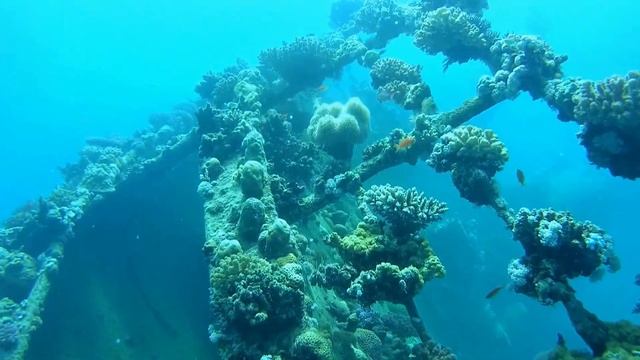 Marsa Alam 2014 HD 1080p смотреть онлайн