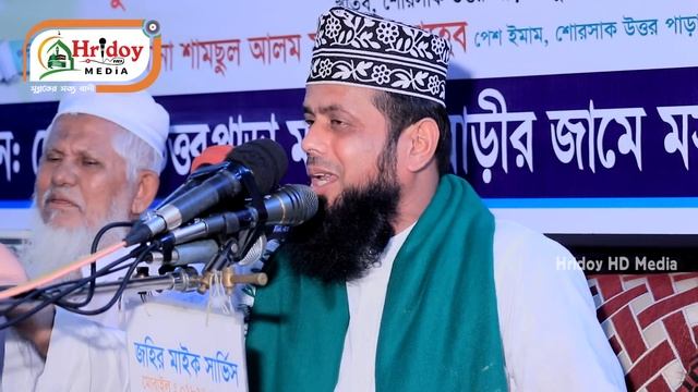 সংসার সংসার কইরা ভবে গো করলে না বন্দেগী। মিয়াজীর হৃদয় ছোঁয়া মরমি গজল। মুফতি আবুল হাশেম শাহ মিয়াজী смотреть онлайн