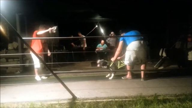 Pbfsa Tyson Jr Weight Pull смотреть онлайн