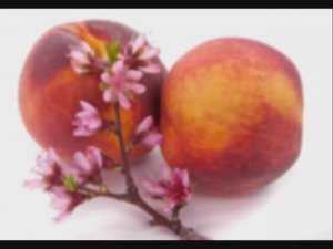 Волшебная медитация для женщин НАПОЛНЕНИЕ