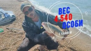Азовское открытое море. Пиленгас. Сильный экземпляр🎣🔥 #пеленгас #море #рыбалка