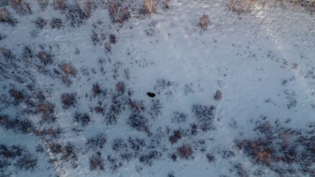 12 февраля 2024 г. смотреть онлайн