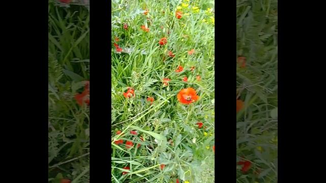 20 апреля 2023 г.