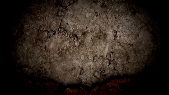 Видеофон ВЗЛОМ смотреть онлайн