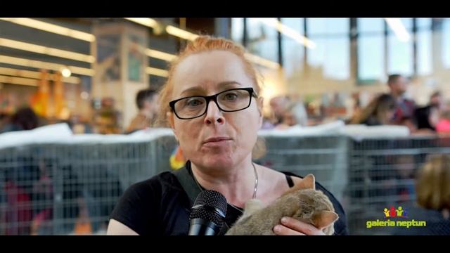 III Pokaz Kotów Rasowych i Domowych w Galerii Neptun 31.03.2019 r. смотреть онлайн