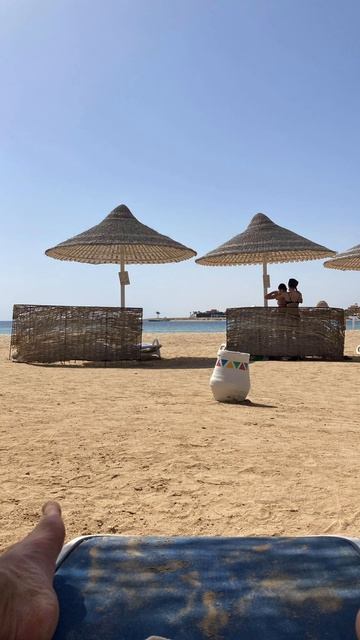 Marsa Alam Day 1 #egypt #marsaalam #trip #holiday #hilton #airport #csa #airlines #smartwings #prg смотреть онлайн