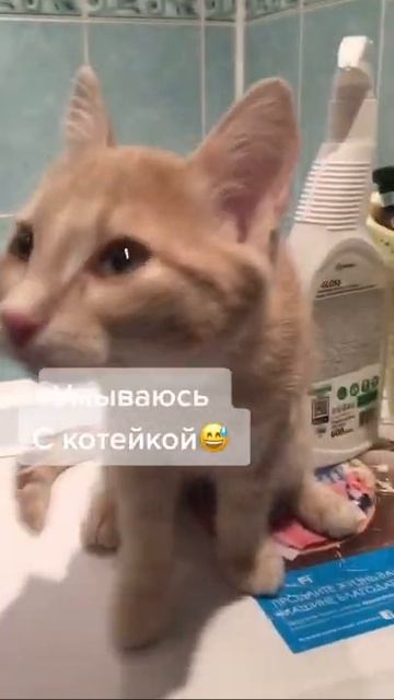 ✅ КАК ПРАВИЛЬНО ПОХУДЕТЬ смотреть онлайн