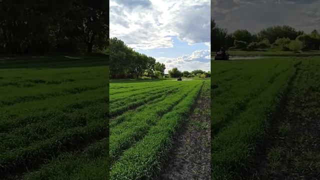 Шифенг SF-244 і ОН-200 смотреть онлайн