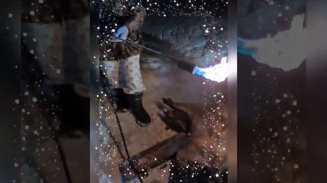 Зачистка свинки после убоя смотреть онлайн