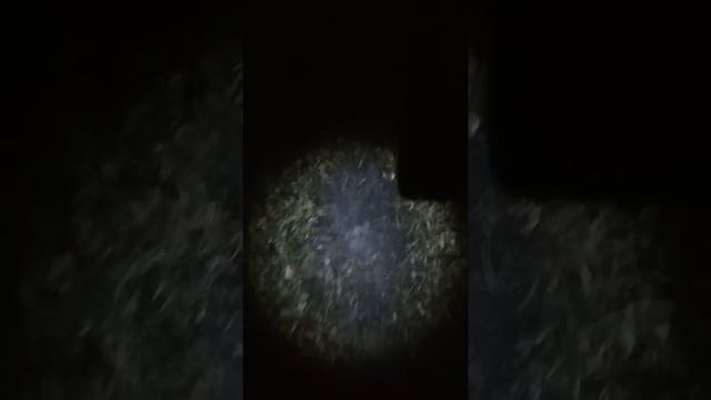 КЛАД НАШЕЛ НОЧЬЮ! ЗОЛОТО И БРИЛЛИАНТЫ! В ПОИСКАХ КЛАДА И ЗОЛОТА ОТ ВИКЛИНГА! смотреть онлайн