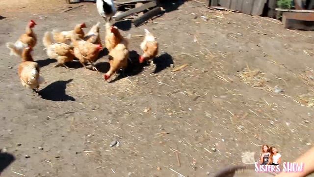 24 часа в ДЕРЕВНЕ | SOFIYA and EVGENIYA смотреть онлайн