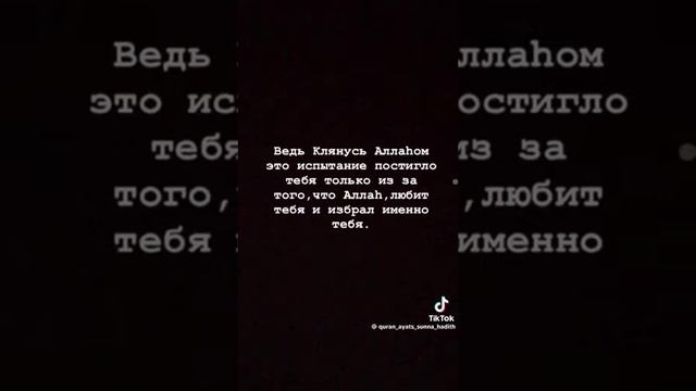 15 мая 2024 г.