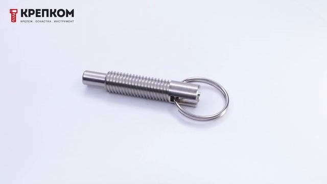 Плунжер нержавеющий с кольцом и установочным пазом T21C смотреть онлайн