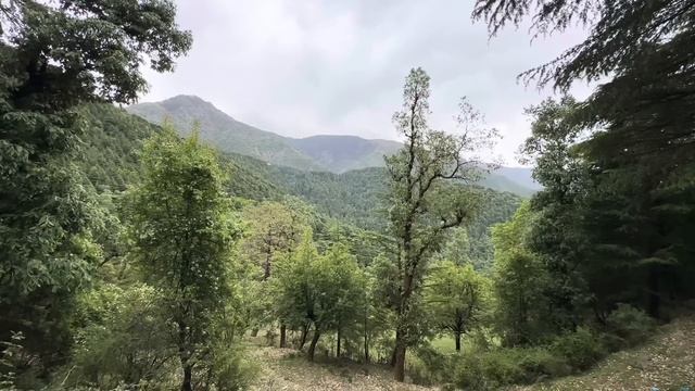 Беженец🇮🇳Гималаи. Индийская мудотня. Vanilla Ice стал классикой. Оригинальная одежда - дешево💥