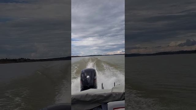 Marcha lenta e arrancada do Mercury 115hp CT.