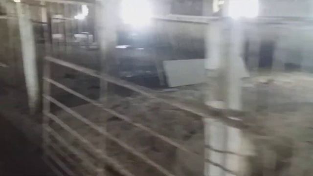 стф1 откормочник. состояние станков 14 .15.16 .17. смотреть онлайн