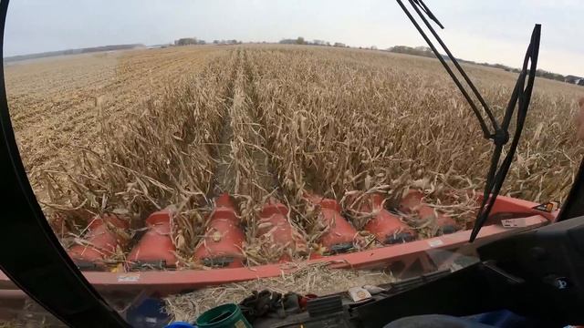 Tough-Wet Conditions - CASE IH 2388 Axial-Flow® - Cab Ride - Neighbor J.I. Case 2670 - Harvest 2021 смотреть онлайн