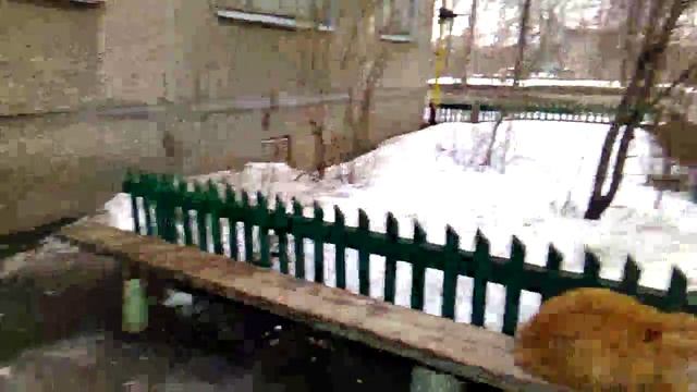 Ту тут у тутутуту смотреть онлайн