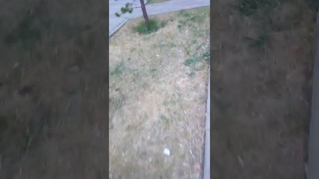 Лесная поляна уборка территорий как работает наша Кск(2) смотреть онлайн