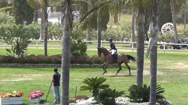 Tullibards Benny Legacy 2* Grand Prix Oliva MET 4 смотреть онлайн