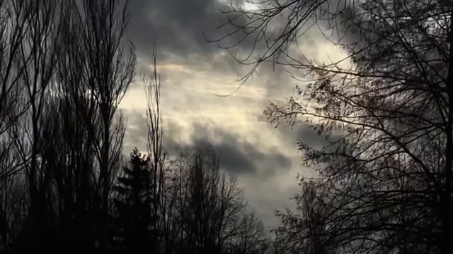 Солнечное затмение 04.12.2021 смотреть онлайн