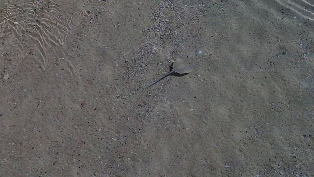 Egipt Port Ghalib Marina Resort Individuals.