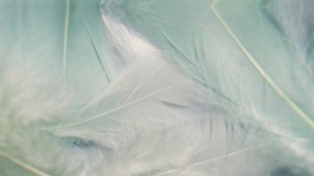 Eli, Eli, Lama Sabactani - Instrumental with lyrics смотреть онлайн