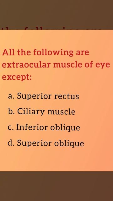 All the following are extraocular muscle of eye except... смотреть онлайн
