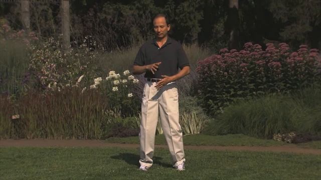 Joining of Yin Yang with Master Chunyi Lin Spring Forest Qigong смотреть онлайн