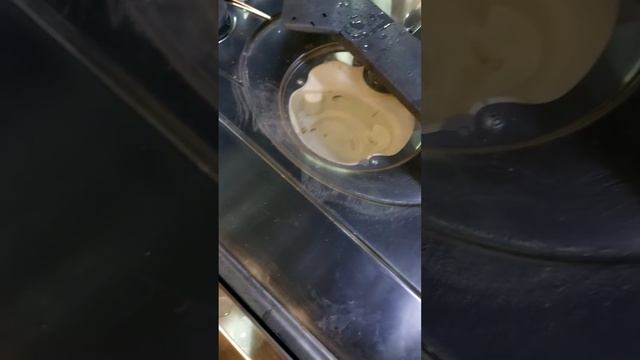 Ikea Geschirrspüler I10 Fehler Wassersensor Reinigen Hygienisk