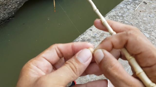 Micro Fishing Tanago Style