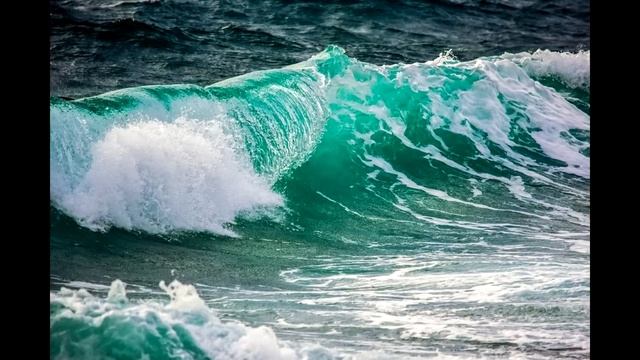 КАК В ПРЕКРАСНОМ ЦВЕТУЩЕМ САДУ... 2023 Автор: Лора Шереметьева смотреть онлайн