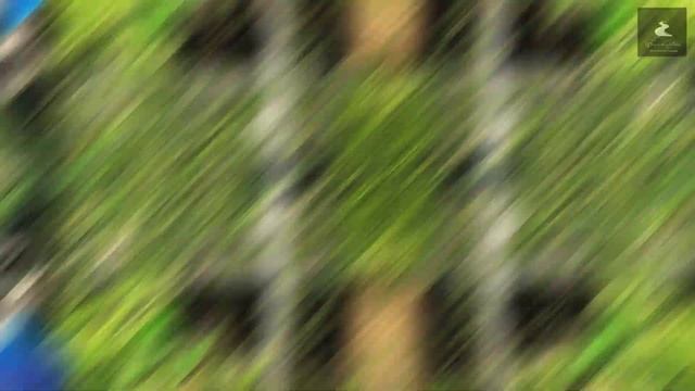 The Green Planet Dubai: A Journey Through the Rainforest - A Must-See Destination |4K| Weekend Path смотреть онлайн