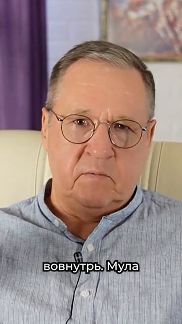 Накшатра Мула в апреле 2024. Астрологический прогноз смотреть онлайн