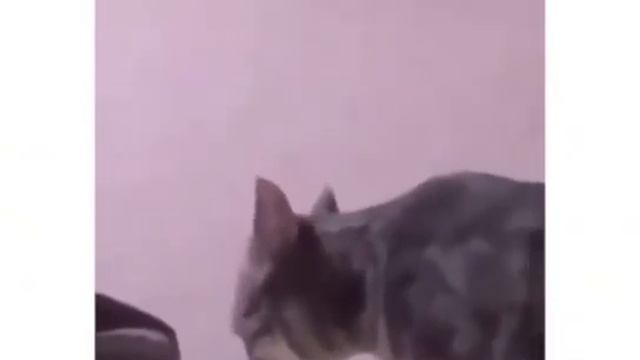 30 апреля 2022 г.