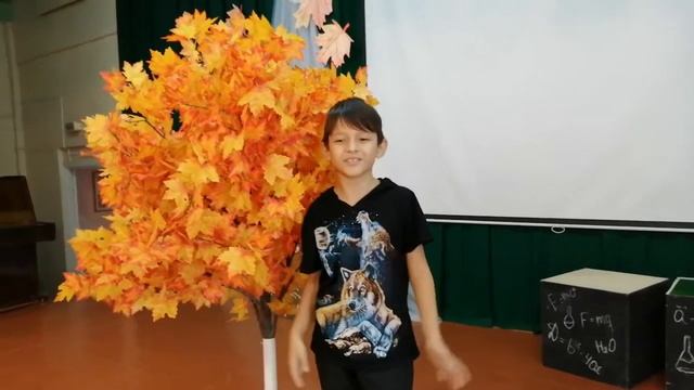 Юные звезды 