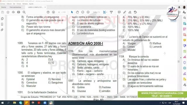 Biología Agraria: ADM 2007-I al 2008-I (Eddy Diaz) (13-10-2020) смотреть онлайн