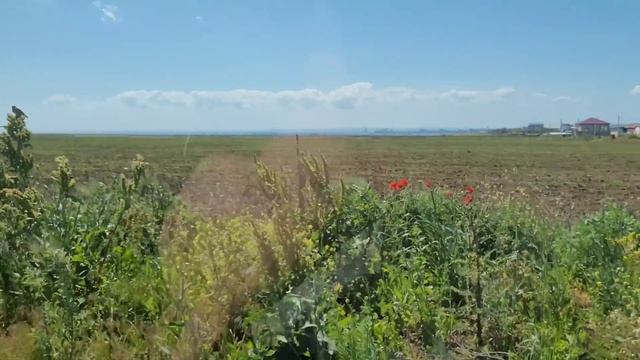 Поселок #Волна. - Обзор, пляжи, общая обстановка. Черное море. Курорты Кубани 2024 г.