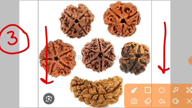 20 मई वैशाख सोमवार के उपाय | पूरा परिवार रहेगा खुश आपका | Pradeep Mishra Today Upay #somvar