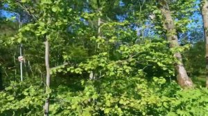 Г.Южно-Сахалинск поездка на автобусе  ГАЗ А68R52 “Сити”.Маршрут 2.